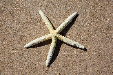 京东拍卖：一大批PS5、NS主机法拍今日开启